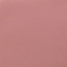Load image into Gallery viewer, Crossbody LILY